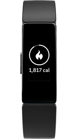 calorie burn